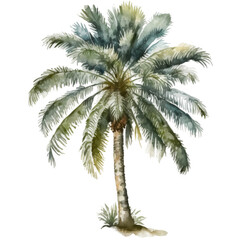 Watercolor palm Illustration AI Generative.