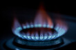 Natural gas used in homes and industry