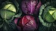 Red and green cabbage, flat lay, top view, Generative AI