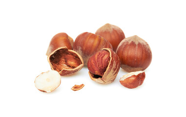 Wall Mural - Hazelnut on a white background
