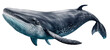 Blue Whale Isolated on Transparent Background - Generative AI
