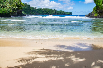 Wall Mural - Beautiful ocean, shadow of palm tree on the beach and waves, at Fogoma`a in Fagatele bay, American Samoa