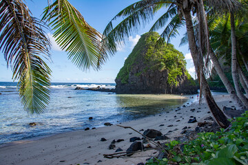 Wall Mural - Beach, palm trees and rock island, American Samoa