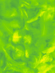 Wall Mural - Beautiful abstract green feathers on white background, blue feather texture on yellow pattern, green background, yellow feather wallpaper, love theme, valentines day, green gradient texture