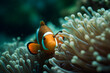 Clownfish Marine Life Anemone Reef. Neural network AI generated art Generative AI