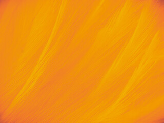 Wall Mural - Beautiful abstract brown feathers on white background, soft yellow feather texture on white pattern and yellow background, orange feather background, gold feathers banners, brown texture