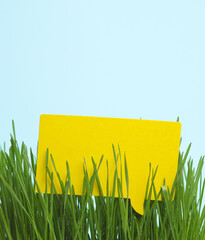 Yellow dialogue cloud or speech bubble among green grass on a blue background