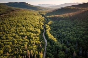 Sticker - aerial view of river running through lush forest Generative AI