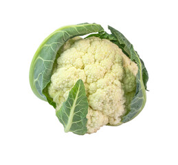 cauliflower isolated on white