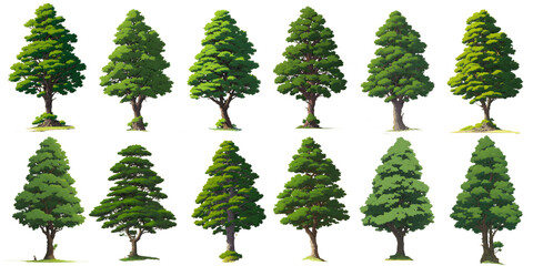 hand drawn watercolor tree illustration asset painting set. Isolated on white background. High resolution transparent PNG. generative AI.