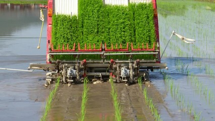 Wall Mural - 田植え機での田植え作業イメージ