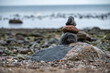 Steine am Ufer der Ostsee in Boltenhagen