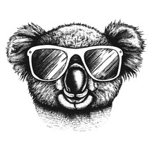 Funny Cool Koala Wearing Sunglasses Sketch, Summer Illustration