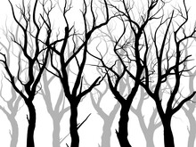 Black Branch Tree Or Naked Trees Silhouettes Set. Hand Drawn Isolated Illustrations.