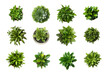 © susse_n - Set Of Various Potted House Plants. Top Plan View. Isolated Template For Interior Scene