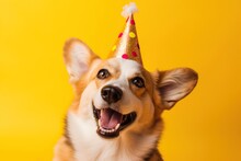 Happy Welsh Corgi Dog Celebrating Birthday With Party Hat On, Isolated On Yellow Background. Generative AI