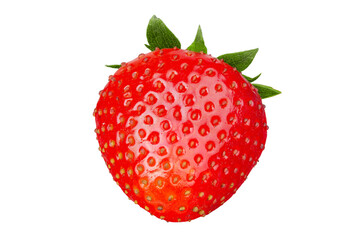 Sticker - One red ripe strawberry with a green tail. Isolated on white background.