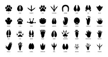 Animals Footprints. Prints Animal Bird Paw, Wildlife Foot Icon, Domestic Pets Footstep Silhouette, Print Hoofed Feet, Black Amphibia Feet Track Vector Set