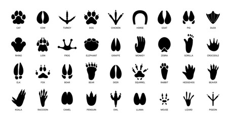 Wall Mural - Animals footprints. Prints animal bird paw, wildlife foot icon, domestic pets footstep silhouette, print hoofed feet, black amphibia feet track vector set