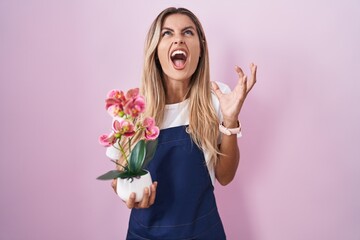 Wall Mural - Young blonde woman wearing gardener apron holding plant crazy and mad shouting and yelling with aggressive expression and arms raised. frustration concept.