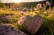 Heart - shaped rock nestled amongst wildflowers in a sunlit meadow.