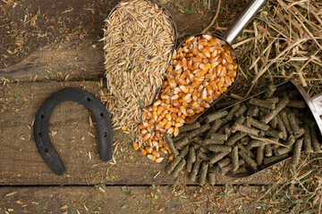 shovel spoons with horse food ingredients