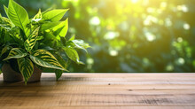 Wood Table Green Wall Background With Sunlight Window Create Leaf Shadow On Wall With Blur Indoor Green Plant Foreground. Generative Ai