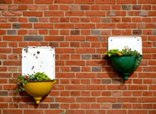 Plants In Old Sinks Installed On A Red Brick Wall