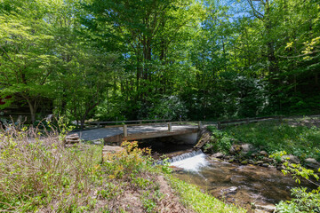 river in wooded area