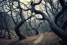A Twisted Forest With Gnarled Trees And Eerie Shadows