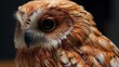 An owl's face in close-up with a blurred background. Generative ai
