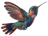Fototapeta Zwierzęta - Hummingbird in Flight isolated on white background . AI generated Illustration.