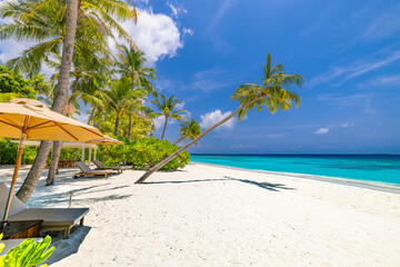 Wall Mural - Beautiful amazing beach with umbrellas and lounge chairs beds turquoise sea palm trees, sunny sky. Leisure summer landscape, idyllic inspire couple vacation, romantic holiday. Freedom resort travel