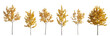 Set of 6 small and middle autumn trees sycamore platanus maple street trees isolated png on a transparent background perfectly cutout