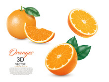 Fresh Orange Fruits Set Design Isolated On The White Background,fresh Tasty Realistic 3D Orange Fruits Vector Illustration Design Element.