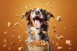 Happy dog in front of bowl of croquettes, AI generative