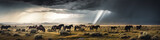 Fototapeta Konie - Discover this beautiful wilderness with free-roaming horses for a graphic and dramatic atmosphere under a stormy sky. Generative AI