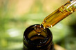 CBD Bottle. Cannabis Sativa Extract. Alternative medicine. THC