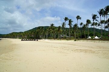 Poster - white sandy napcan beach on palawan island near el nido