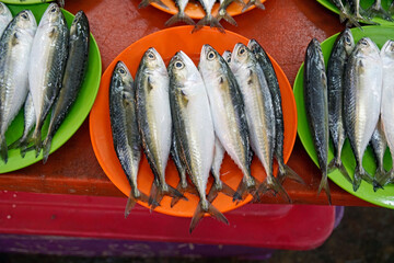 Wall Mural - fresh fish at a local fish market in cebu city