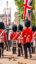 Queens Guards At The Mall, London, UK 