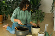 © satura_ - Woman grows potted plants at home watering and take care flowers - gardening and houseplant care concept