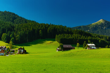 Sticker - Picturesque valley in summer Alps