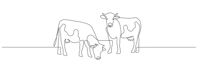 Poster - Cows on pasture in One continuous line drawing. Milk calf animal grazing symbol and beef meat farm concept in simple linear style. Editable stroke. Doodle outline vector illustration