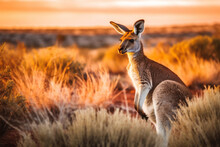 An Australian Kangaroo In The Outback Of Australia At Sunset, Created With Generative AI.