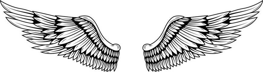 Wall Mural - illustration of a pair of wings in black and white,  done in a tattoo-style. Angel wings. illustration of bird wings.