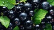 Blackcurrant. Healthy food concept. Ai image 