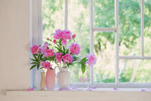 Pink Peony In Vase On Grunge White Interior