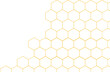© Paradorn - Bee Honeycomb