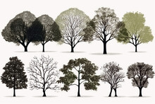 Set Of Tree Crowns On White Background. Generative AI